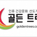 골든트리 이미지