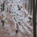 범죄도시3 이미지