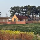 (주)선홍무역 | 남해 파스타 양식 맛집 때깔로무역 웨이팅 및 주차