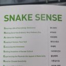 트렌드코리아 이미지