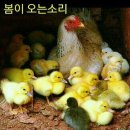 두산리 경로당 이미지