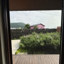 가람연결혼정보 | [종달리 숙소] 자쿠지가 있는 도록도록 바깥채 후기 혼여행