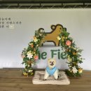 카페THEfield