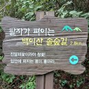 8월 함안군북 백이산.숙제봉둘레길 트래킹 후기(2026.8.30) 이미지