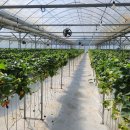 경영농장 이미지