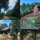 세븐일레븐 동교숲길점 | 장흥 뚜벅이 혼자여행 : 정남진 편백숲우드랜드 오차현