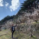 공주(대전) 이미지