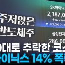 '-7.89%' 또 급락한 코스피 7600대로…SK하이닉스 14%대 폭락 이미지