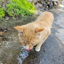 아궁이149 이미지