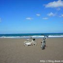 삼양해수욕장 이미지