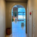 빨간모자달팽이 이미지