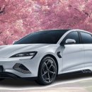 제주동백렌트카 - 제주시 오광로 24 | 제주동백렌트카