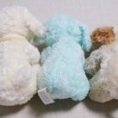 향기나는 강아지 이미지