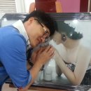 TG엔터테인먼트 이미지