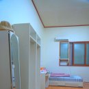 클린어게인 이미지