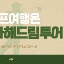곰앤다해드림투어