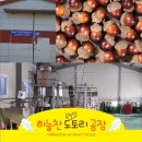 하늘찬도토리