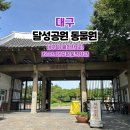 대구향토역사관 | 대구 가볼 만한 곳! 달성공원 동물원과 대구향토역사관 함께 즐기는 꿀팁