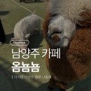 1306 | 남양주 아기랑 갈만한 곳 카페 옴뇸뇸 방문 후기