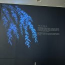 갤러리안경 | 서울 이태원 전시회 모다갤러리 “나를 담은 자리” 관람 후기