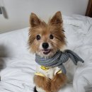 주라울 이미지