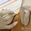 [건강포커스] &#34;코로나19 mRNA 백신, 항암면역 강화…3년 생존 확률 2배&#34; 이미지