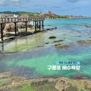 마이구룡포 | 포항 스노쿨링 명소 물고기가 정말 많고 해루질 하기 좋은 구룡포해수욕장 취사 주차 꿀팁