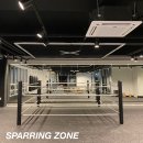 HANBOXING 네이버블로그
