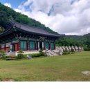 소백산자락길 제4코스 이미지