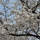 남대교주유소 이미지