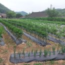 성흠농장 이미지