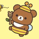 새록 이미지