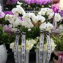 송생초등학교 이미지