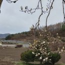 봉오리농장 이미지