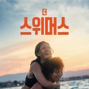 세이니 이미지