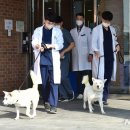 송강동물병원 이미지