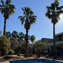 마빌릭 스파앤풀빌라 이미지