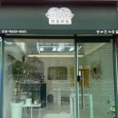 뽀솜뽀솜 | 대구 달서구 고양이 미용 두마리/ 다묘가정 무마취 미용 후기 - 뽀솜뽀솜