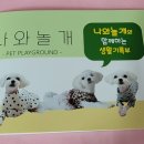 신흥애견센타 이미지