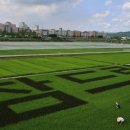 국립종자관리소 이미지