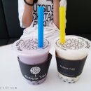 버블트리 이미지