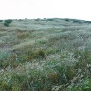 자수정동굴나라 이미지