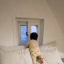네네 영흥점