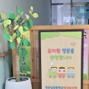 전주남초병설유치원 이미지