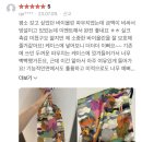베르디나