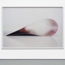 서울참새 이미지