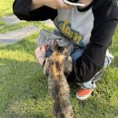 건하농장 이미지