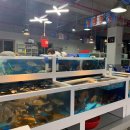 울산횟집 이미지