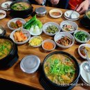 쌍둥이흑염소 이미지