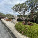 모정엔틱 카페 이미지